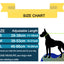 Martingale Heavy Duty Nylon Dog Collar for Small, Medium, Large Breeds Adjustable Safety Training Collar