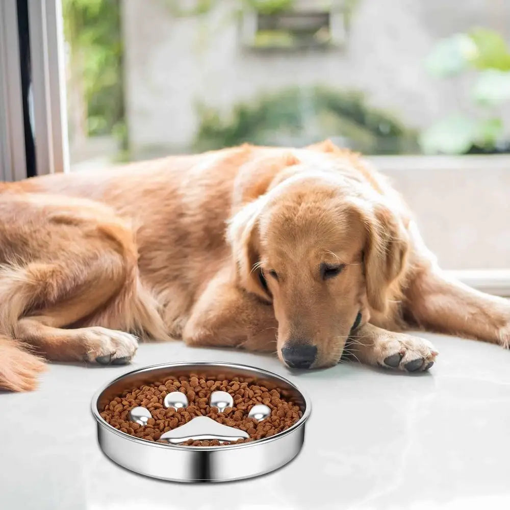 Dog Food Bowl Anti Rust Cat Food Bowl Oven Fridge Safe Pet food Container Dish for Small Medium Size Dogs for Indoor Outdoor