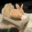 Chinchilla Bed For Cage Off The Floor Foldable Bunny Bed Cute Portable Pet Bed Puppy Sleeping Habitat For Ferrets Hedgehogs