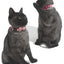 Pet Collars New Pet Bow Bell Collars Cute Cat Collars Pet Supplies Multicolor Adjustable Pet Dressing Tool Pet Accessories