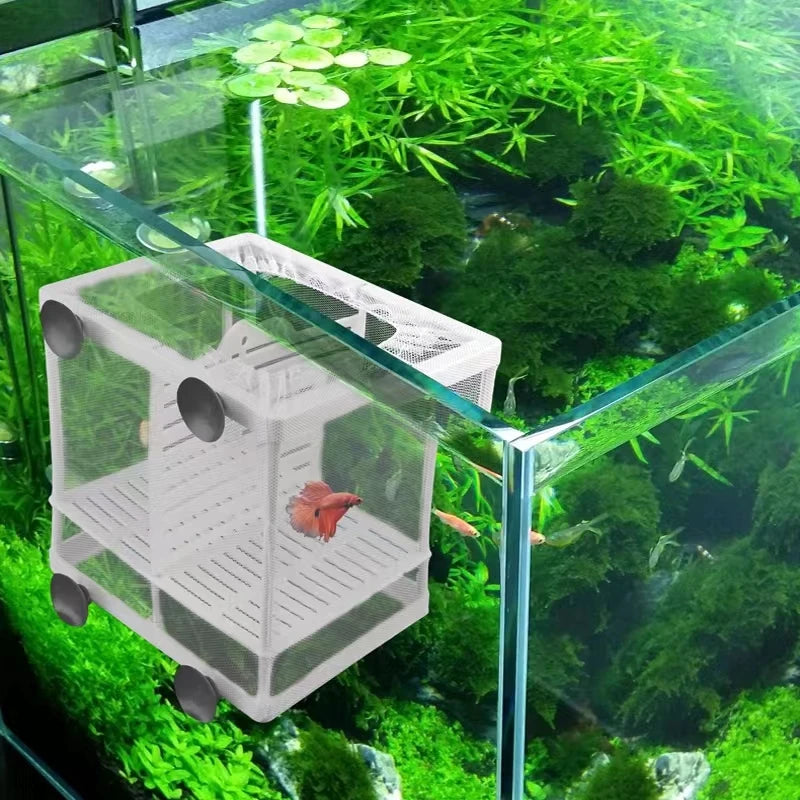 Plastic Aquarium Fish Breeding Isolation Box Fish Tank Aquarium Breeder Hatching Incubator Fish Tanks Isolator Accessories New