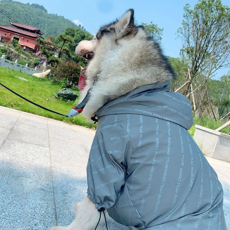 Pet Clothes  Pets Acessorios  Dog Clothing  Dog Costume Parent-child Wear Spring and Autumn One Color Eight Sizes