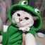 Cute Dog Hoodie Frog Shape Dog Coats Pet Halloween Cosplay Costume Pet Clothes Dogs Hooded Sweatshirt for Puppies Cat