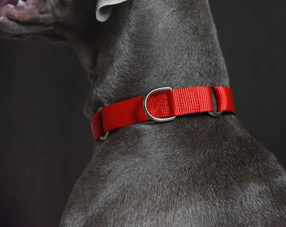 Martingale Heavy Duty Nylon Dog Collar for Small, Medium, Large Breeds Adjustable Safety Training Collar