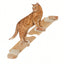 Cat Wall Shelf Wooden Cat Perch Furniture for Sleeping Cats Shelves Stair Cat Climbing Training Steps Kitten Tower Tree Hammock