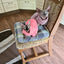 Fashionable Clothes For Cats Sphynx Cat Sweater Kitten Clothing Hound Dog Hoodie Clothes For Sphinx Cat Outfit Pet Jumpsuits