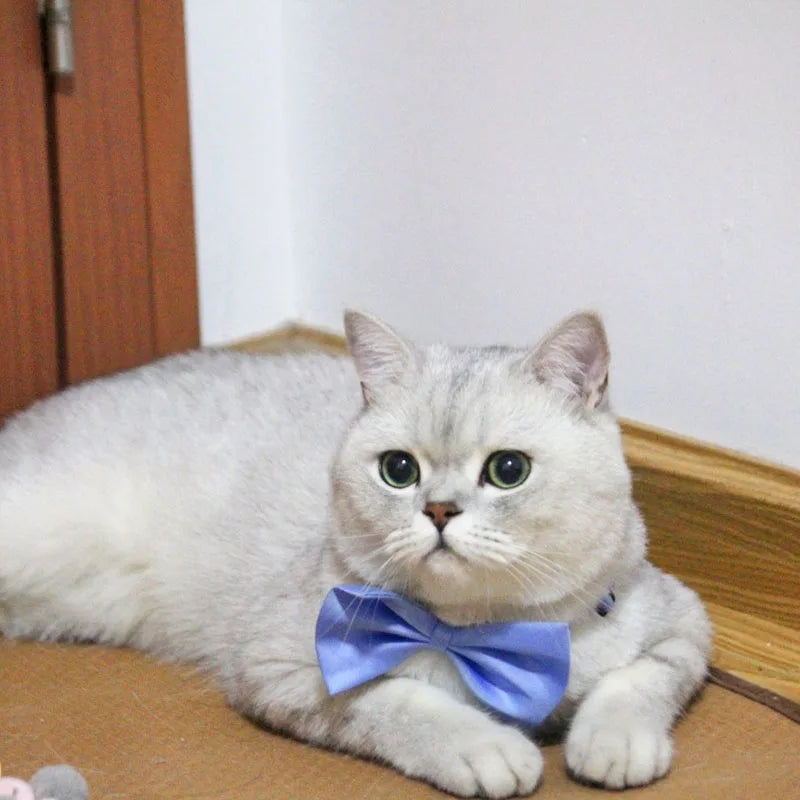 50pcs Mix Color Bow Ties Bowknot for Dogs Cat Grooming Accessories Small Animal Children Adjustable Bowtie Pet Product Wholesale