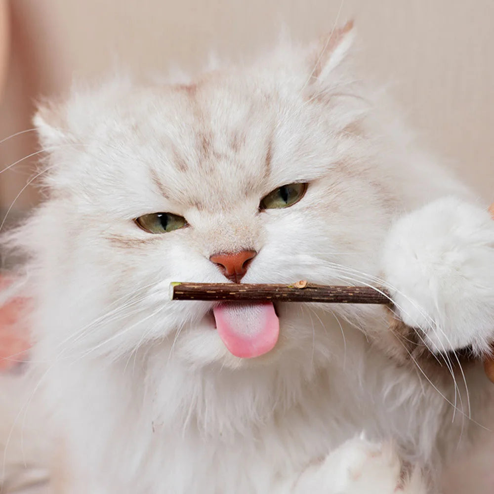 Cat Toys Catnip Chew Toys Funny Cigarette Design Cat Molar Toothpaste Stick Natural Actinidia Silvervine Pet Cat Cleaning Teeth