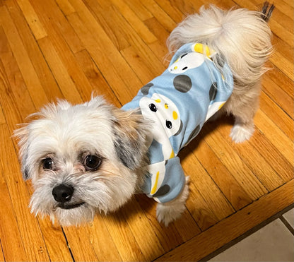 Xs Dog Clothes for Small Dogs Girl Puppy Clothing for Small Dogs Boy Cat Jacket Personalise Pet Shirts for Pug Chihuahua Bulldog