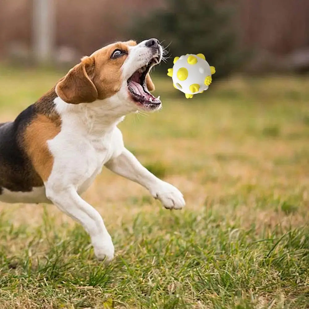 Puppy Teething Toys Fun Tough Innovative Chew Toys Rubber Dog Toys Gentle Professional Puppy Dog Chew Toys For Teething
