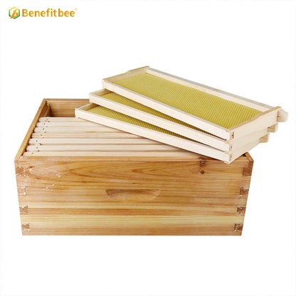 Wholesale bee hives beekeeping wooden langstroth beehive with frame
