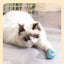 Pet automatic cat teasing ball cat toy for self fun and relaxation, rolling ball pet gravity cat toy