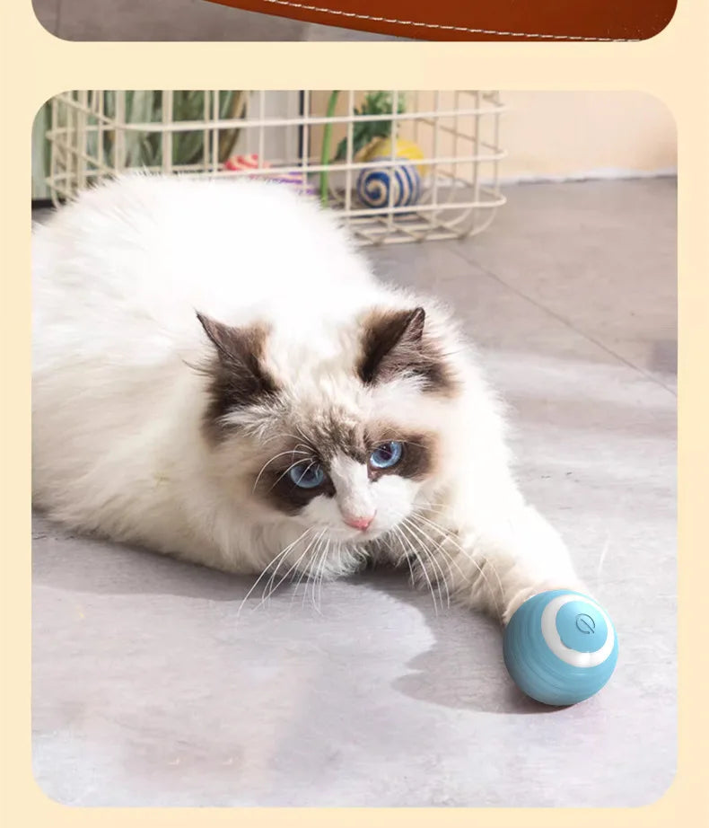 Pet automatic cat teasing ball cat toy for self fun and relaxation, rolling ball pet gravity cat toy