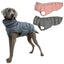 Italian Greyhound Hound Whippet Clothes Winter Turtleneck Dog Coat Thicken Padded Down Puffer Jacket for Medium Large Dogs