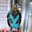 Parrot Flying Harness Leash Suit Pet Bird Outdoor Flight Training Rope Cockatiel Supplies Macaw Accessories  Stuff For Budgie