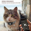 Reflective Cat Collar Pet Cat Adjustable Vest Anti-Lost Safety Release Buckle Cat Neck Waring  with Removable Bell for Camping