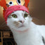 Cute Pet Hat Small Dog Cat Hat Easter Bunny Hat Crab Lobster Frog Cap Pet Party Costume Accessories Headwear for Cat Kitten Pug