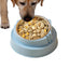 Cat Bowl Non-Slip Pet Stainless Steel Food Bowls Ergonomic Design Cat Dog Food Bowl with 15 Degree Oblique Mouth Puppy Feeding