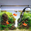 Aquarium Heater Cover Guard Aquarium Fish Tank Heating Rod Sleeve Heat-Resistant With Suction Cups Heater Protectors For Water
