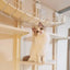 Cat Tree Wall Mounted Climbing Shelves Wooden Hammock with Ladder and Cats Perch Sleeping Pet Indoor Playground Pet Furniture
