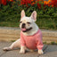 Pet Dog Clothes Knitwear Dog Sweater Soft Thickening Warm Pup Dogs Shirt Winter Puppy Sweater for Dogs Casual Pet Cat Clothing