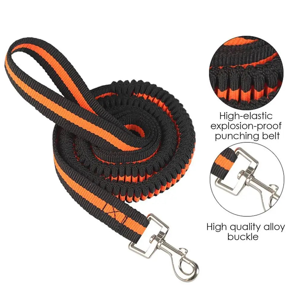 Dog Heavy Duty Durable Telescopic Nylon Dog Rope Comfortable Padded Handle Rope High-elastic Dog Safety Belt For Car