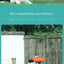 Multicolor Frisbeed Dog Toy  Fashion Pet Dog Silicone Game Flying Discs Trainning Interactive Toys Pet Supplies Flying Disc