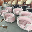 Beidou Pet Solid Wood European Carved Kennel Cat Nest, Pet Sofa Pet Bed Wholesale and Retail