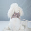 2023New Dog Harness Elegant Comfortable Breathable Pet Dress Collar For Small Dogs Fashion Lovers Vest Dog Harness and Leash Set