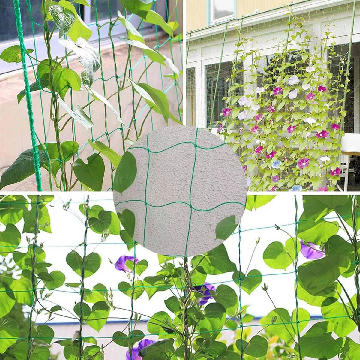 Netting Pond , Netting Protect Pest Control,Anti Bird , Mesh Garden, Flower Traps, Plant Fruit Vegetables,Green