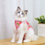 Cat Recovery Suit for Post Surgery Protection Anti-Licking Wound Kitten's Shirt Professional Cat Recovery Suit for After Spaying