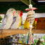 Parrot Foraging Toy Bird Perch Toys With Shredding Foraging Bird Shredded Paper Cage Accessories For Cockatiel Lovebird