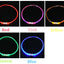 Luminous Dog Collar Light Charge Cat Necklace, Led Fashion Flashing DIY Glowing Safety Collar for Dogs Nighttime Pet Accessorie
