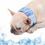 Cool Bandana For Dogs Instant Cooling Pet Bandana Pet Breathable Summer Ice Scarf Collar For Small Medium Large Dogs