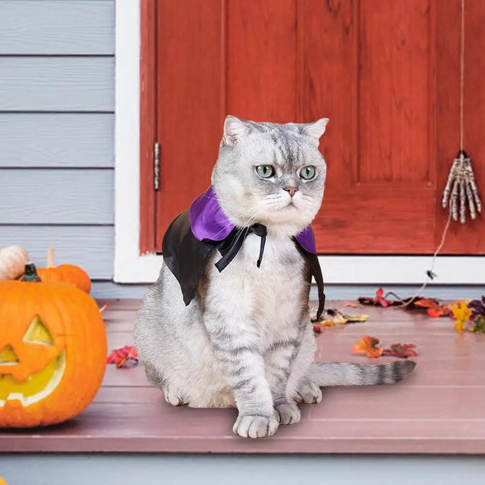 Pet Dog Cat Witch Hat Bandana Cosplay Prop Halloween Fancy Dress Costume Outfit Cat Costumes Photo Props Headwear