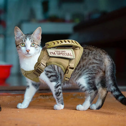 Tactical Small Dog Cat Harness Leash with Patches Working Training Puppy Straps with Handle Soft Mesh Adjustable Pet K9 Vest