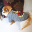 Dog Hoodie For Chihuahua Small Dog Clothing Dog Puppy Clothes Pets Products For Dog Winter Chihuahua Dog Costume For Cats Pug