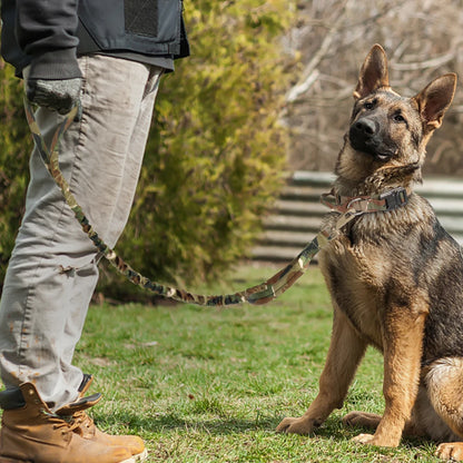 Durable Tactical Dog Collar Military Bungee Leash Set Nylon Walking Training Pet Collar for Medium Large Dogs German Shepard