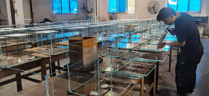 Syper Glass Customised Size Marine Glass Aquarium Fish Tank