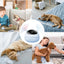 Cat Laser Toy Automatic Laser Moving Pointer for Cats Real Random Trajectory & 360 Irregular Rotation Kitten Exercise Toys
