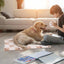 Cozy Cat Calming Blanket Super Soft And Warm Flannel Pet Blankets Soft And Warm Machine Washable Sleeping Mat For Dogs Cats Cold