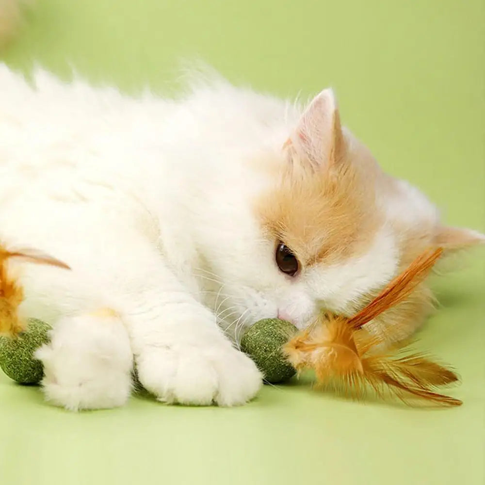 Cat Kitten Catnip Feather Ball Interactive Cat Kicker Feathers Creative Gift For Teeth Cleaning And Hair Removal  Cat Toys