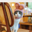 Plush Rabbit Ears Pet Dog Accessories Cosplay Cat Hat Winter Lovely New Year Christmas Puppy Headgear Soft Velvet Pet Supplies