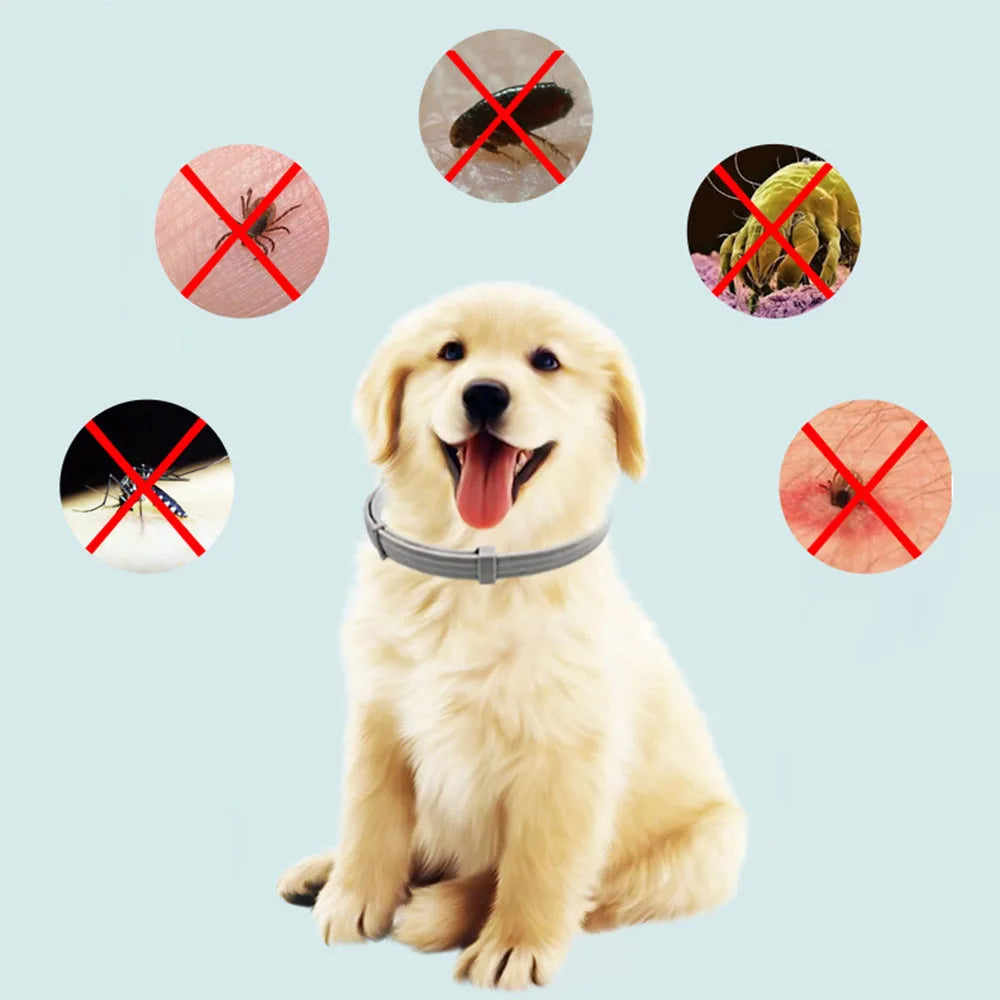 Repellent Collar Dog Flea Prevention Cat Anti Ticks Parasite Collar for Small Large Dogs Anti Flea and Ticks Collar Pet Supplies