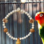 Bird Cage Hammock Swing Toy Woven Cage Hammock Parrot Swing Toy Teeth Care Bird Climbing Hammock Playing For Parrots Parakeets