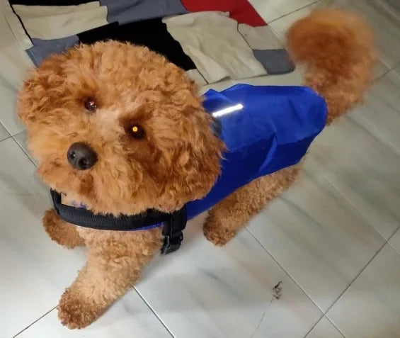 Big dog raincoat reflective waterproof windproof hooded raincoat large dog clothing outdoor raincoat  dog clothing jacket