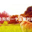 Manufacturer spot outdoor dog house wooden dog villa bite-resistant kennel rain-proof kennel can be customized dog house pet ca