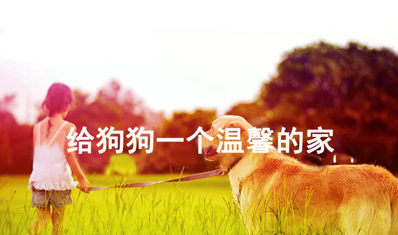 Manufacturer spot outdoor dog house wooden dog villa bite-resistant kennel rain-proof kennel can be customized dog house pet ca