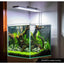 Aquarium Lighting APP Control WEEK AQUA M Series LED Full Spectrum Plant Grow Light with Cycle Timer Telescopic Fish Tank Light