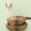 Popular Magic Organ Cat Scratch Board Cat Toy with Bell Cat Scratch Claw Cat Crawler Pet Supplies